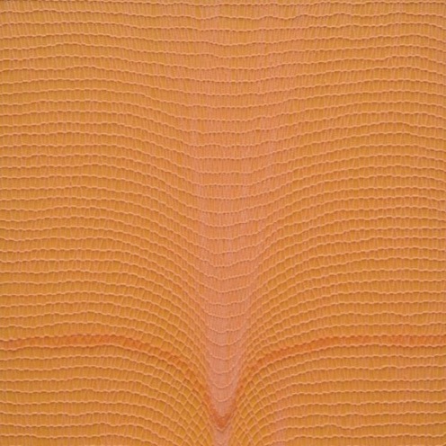 Untitled - orange, painting