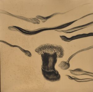 Untitled, SB.3.1985 50x50in, Charcoal on canvas