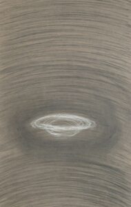 Untitled, SB.48.1989 18x11in, Dry pastels on paper.jpg
