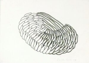 Untitled, SB.750, Pencil on paper